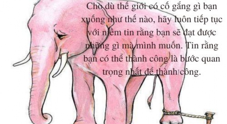 CON VOI VÀ SỢI DÂY THỪNG 